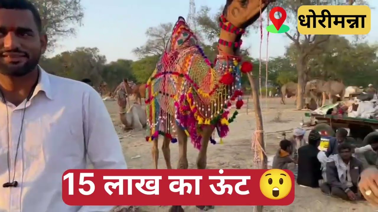 राजस्थान में लगा धोरीमना में मेला यह सबसे महंगा ऊंट है आज तक का 😲😲