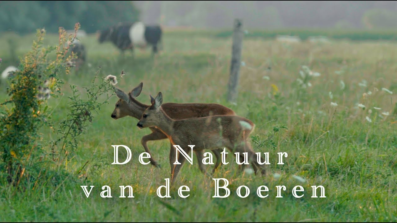 De Natuur van de Boeren
