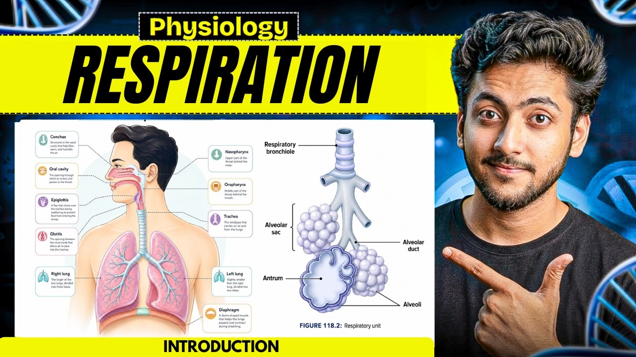 Physiology - Respiration (Introduction) | MBBS 1st Year | Full Explanation & Notes | MBBS World