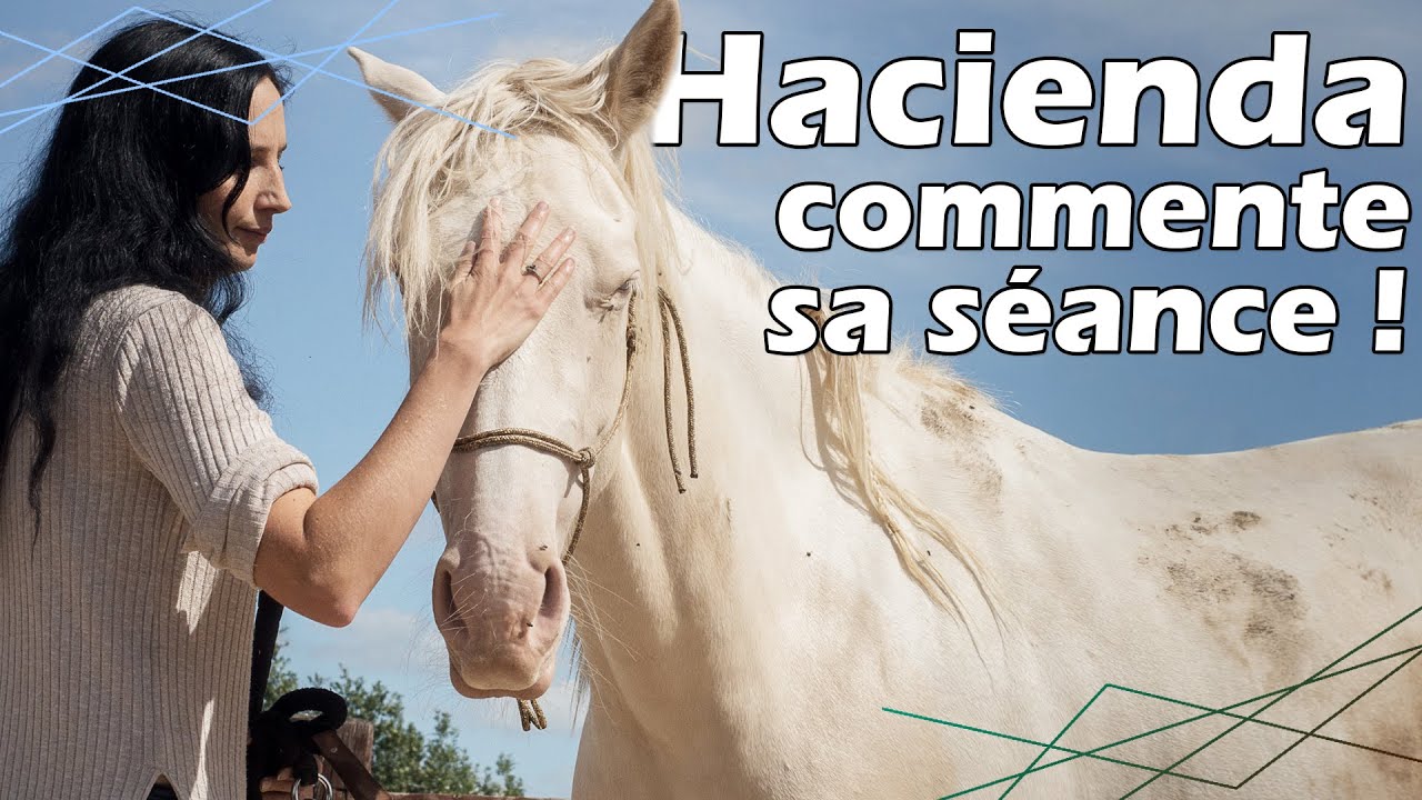 Je fais travailler mon humaine : il y a du boulot !