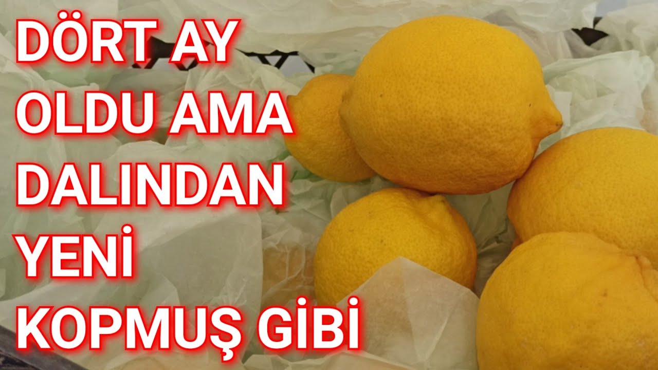Limon Bozulmadan Altı Ay Nasıl Saklanır