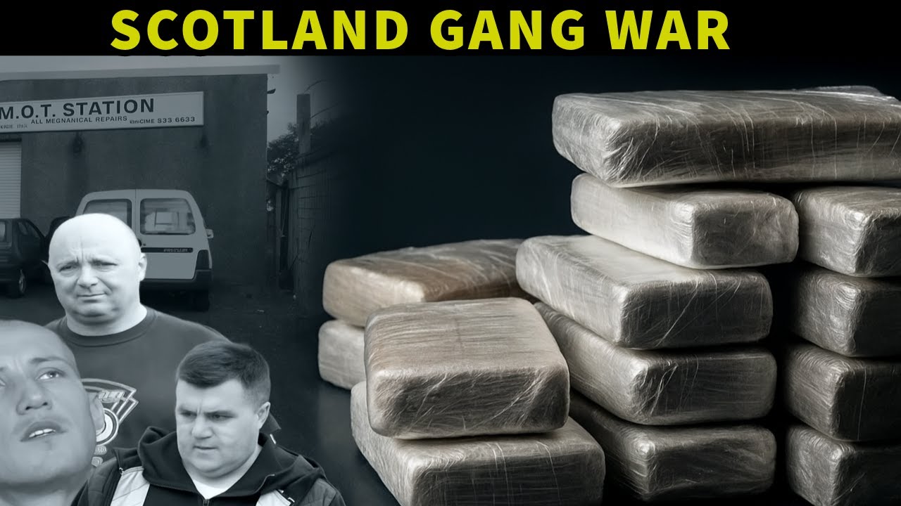 БЕЗУМНЫЕ ШОТЛАНДСКИЕ ГАНГСТЕРЫ НАЧИНАЮТ ПОЛНОЦЕННУЮ ВОЙНУ! ПРЕСТУПНЫЕ СЕМЬИ ЛАЙОНСА ПРОТИВ ДЭНИЕЛА!