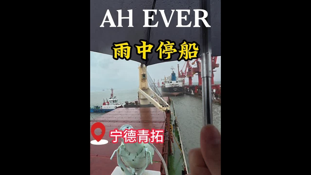雨中靠泊宁德港青拓码头 身临其境体验代客泊船#引航员 #船员#航海  #上热门🔥 @DOU+小助手  #光合作用半小时