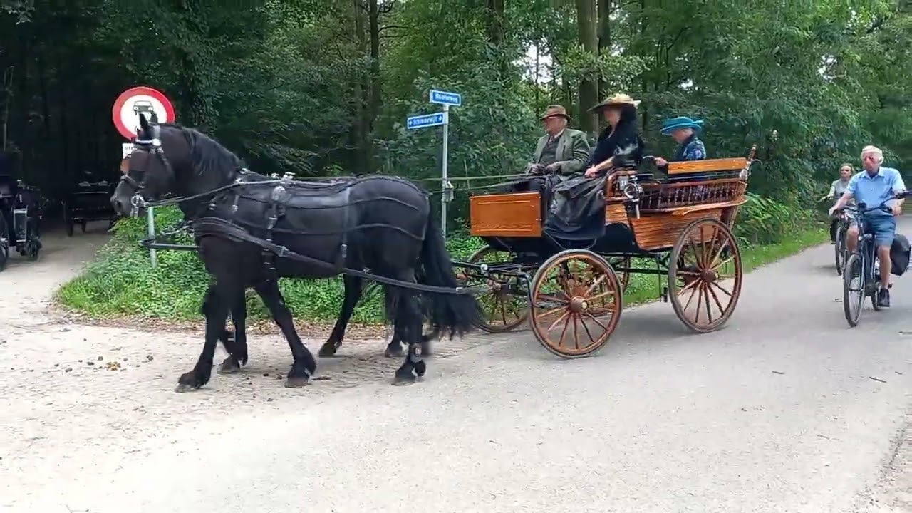 45e Kastelentocht in Vorden met 40 aanspannningen (2023)
