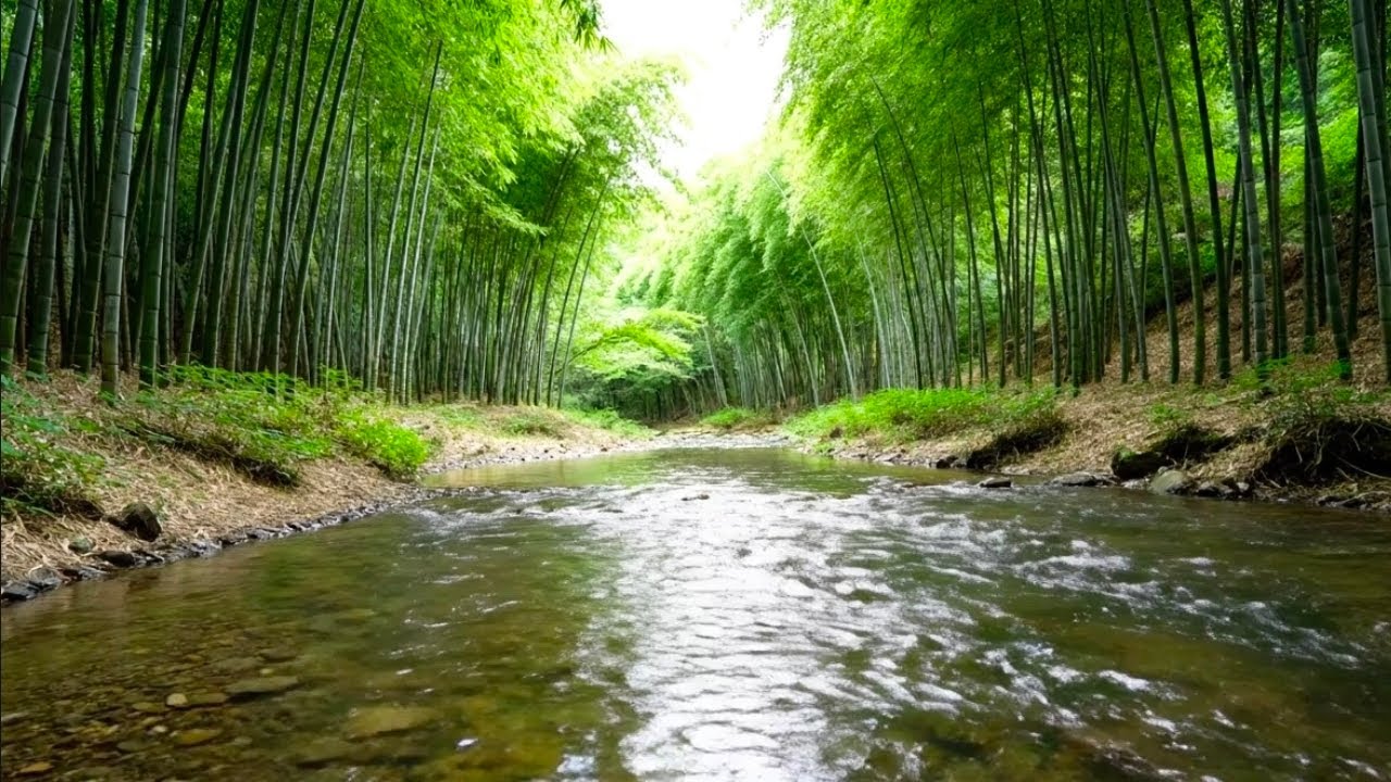 Deep Relaxing River Sounds | Peaceful Nature Water Flow for Sleep, Focus, Study & Stress Relief