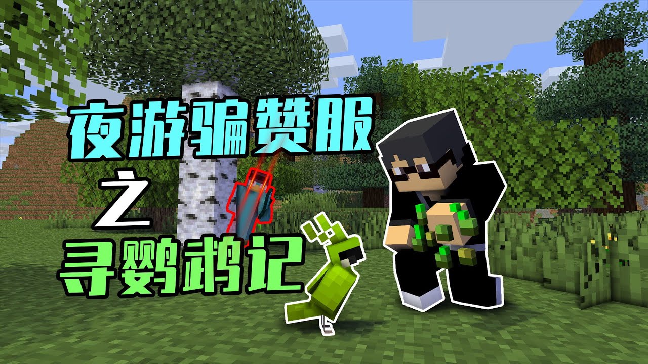 千里尋鸚鵡！還發現了伺服器裡的奇怪的建築【夜遊騙贊服】