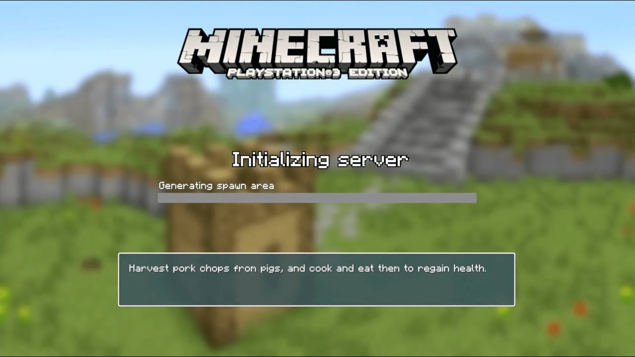 Replaying Minecraft PS3 Demo