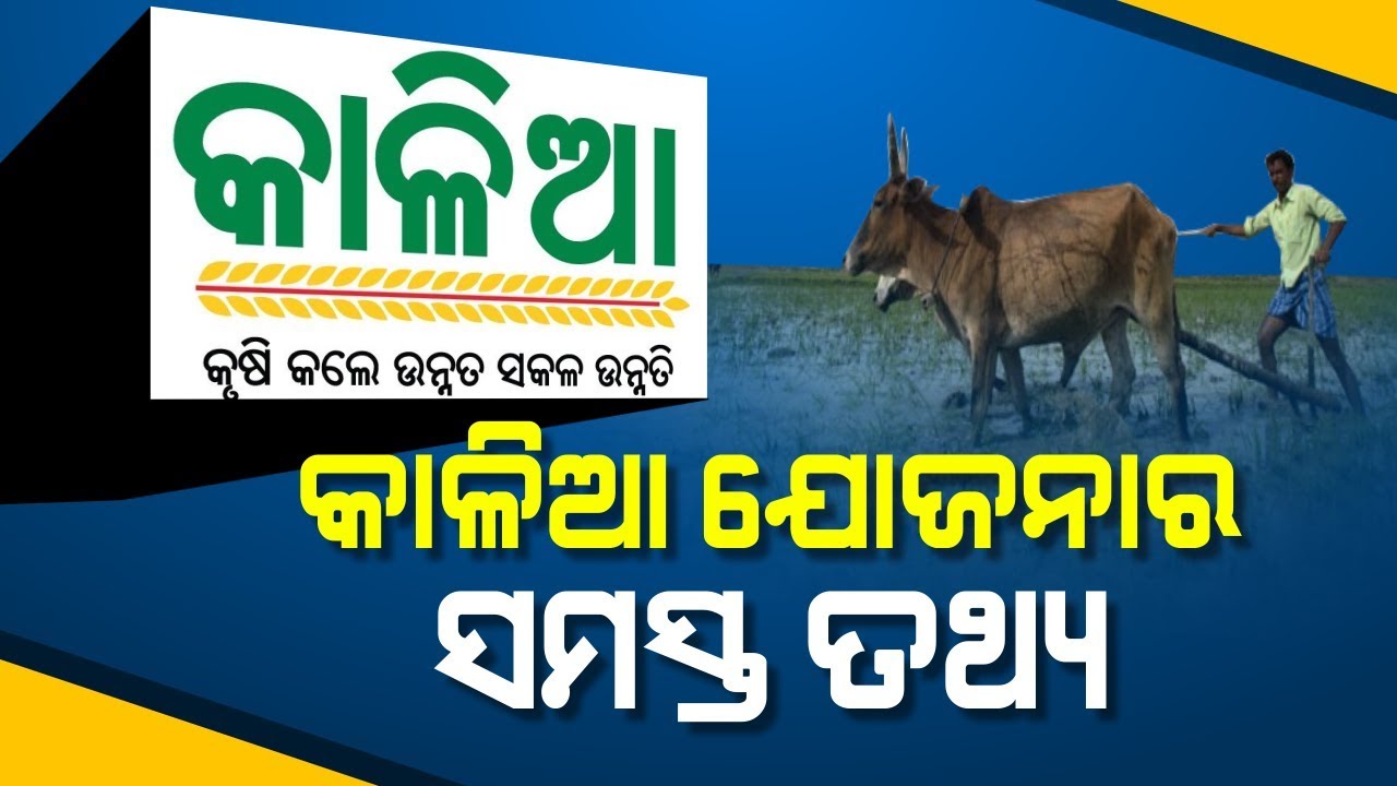Special Report: Important Facts To Know About 
