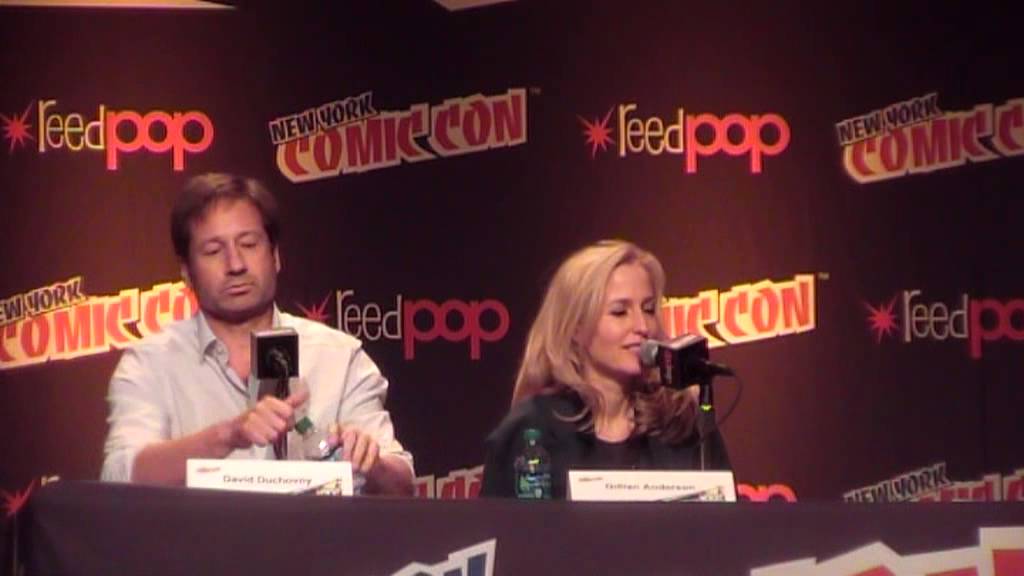 NYCC 2013 XF-Panel with Gillian Anderson & David Duchovny