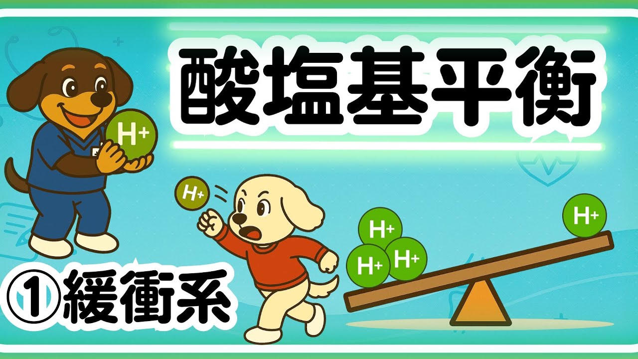 【国試対策】体の中のバランス調整役！緩衝系のすごい仕組み　　　　　　　　#国家試験 #リハ #リハ学生 #ot学生 #pt学生 #看護学生
