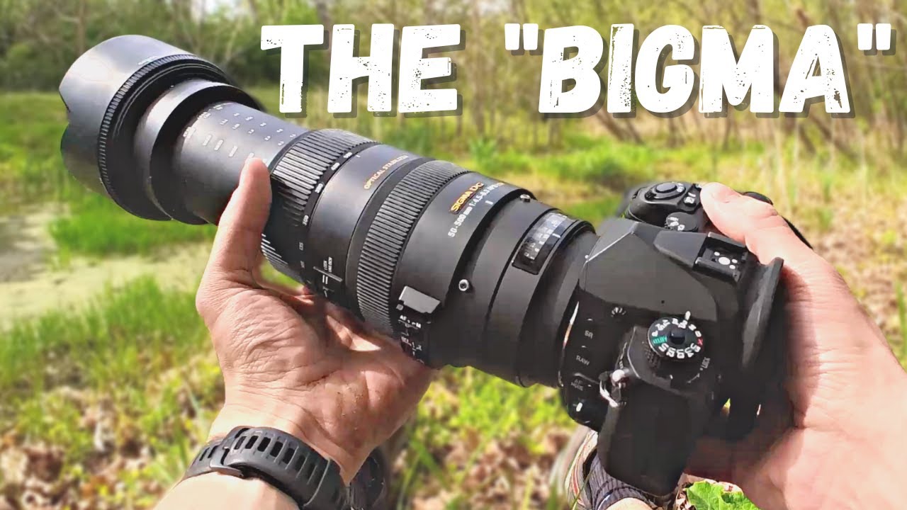 Birding with the Sigma 50-500mm Lens On The Pentax K-3 III