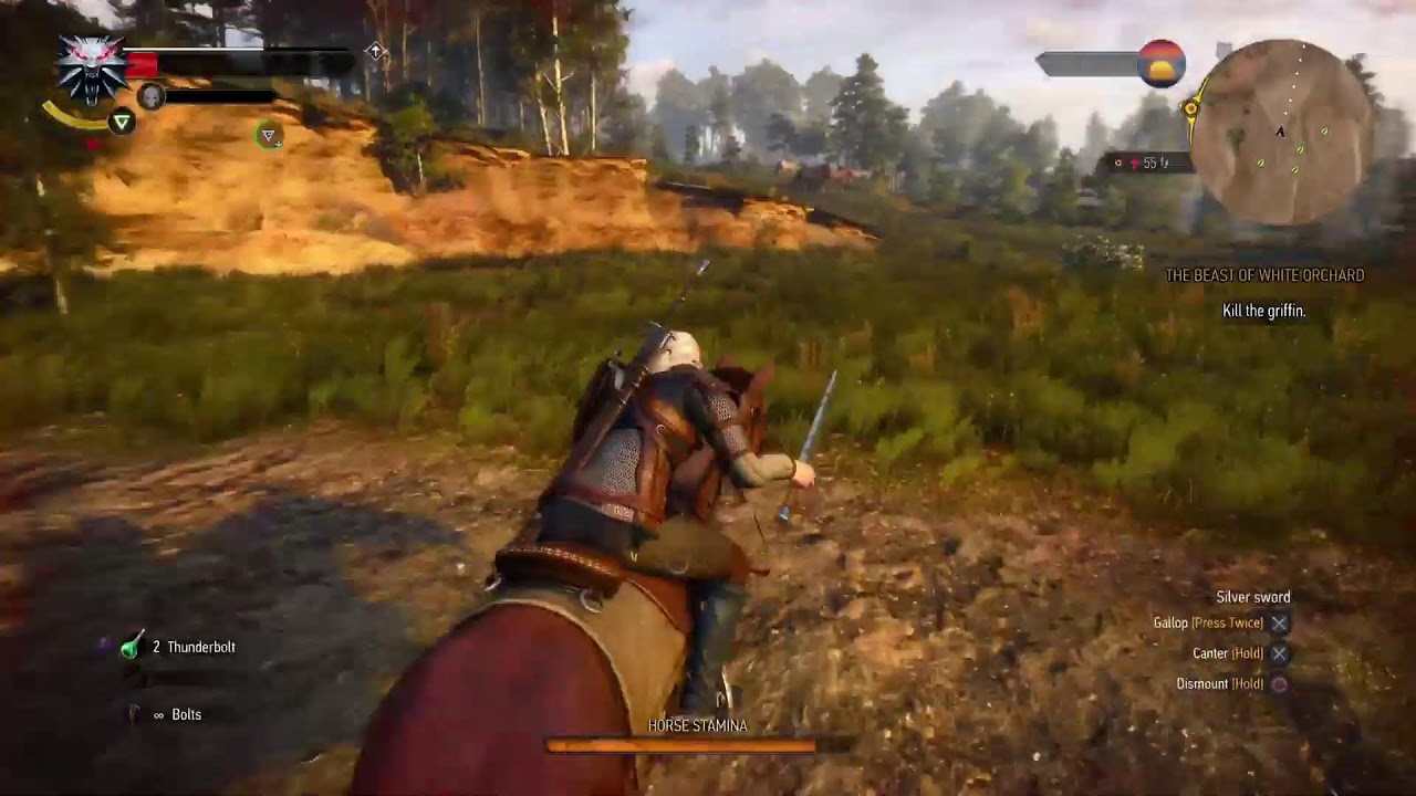 The witcher wildhunt Romania livestream