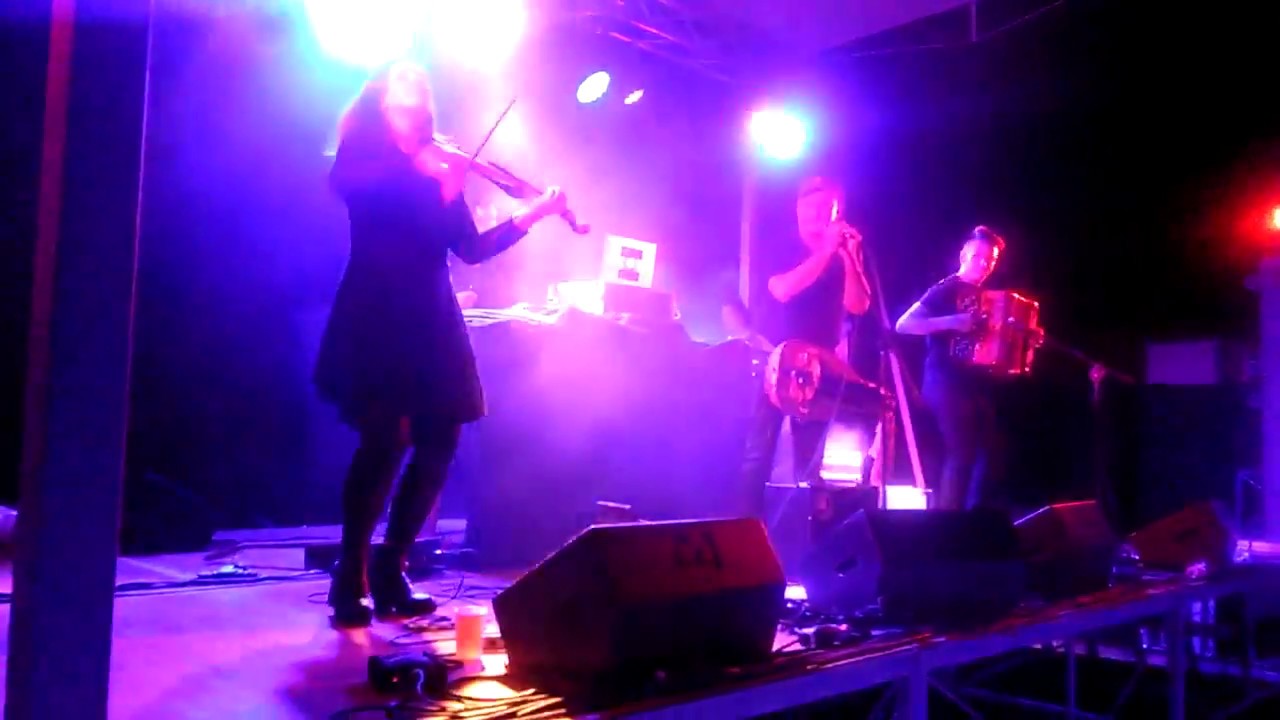 Scottish del Gatto GRAN BAL DUB _ Lagnasco