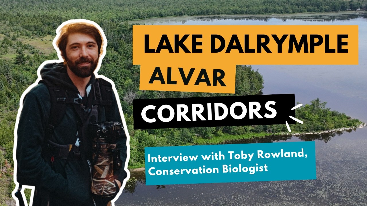 Lake Dalrymple Alvar | interview with Toby Rowland | Large Landscapes & Corridors