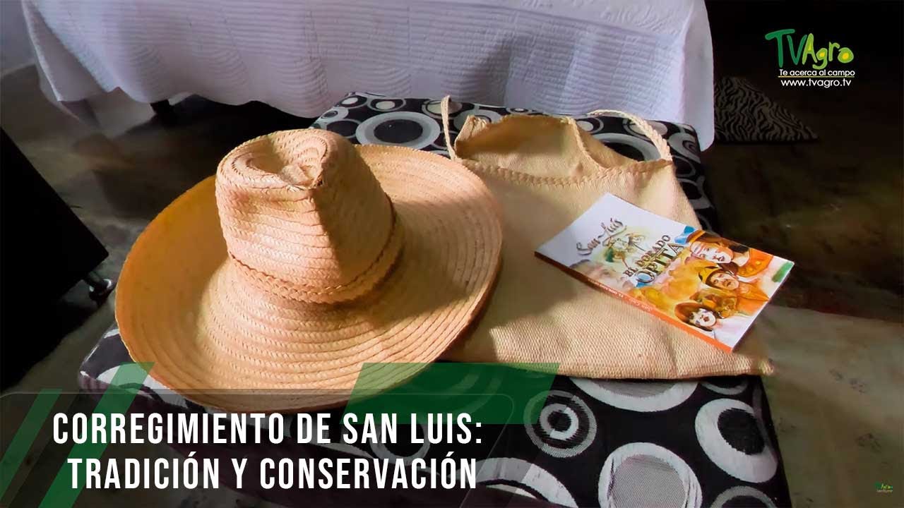 Corregimiento de San Luis: tradición y conservación - TvAgro por Juan Gonzalo Angel Restrepo