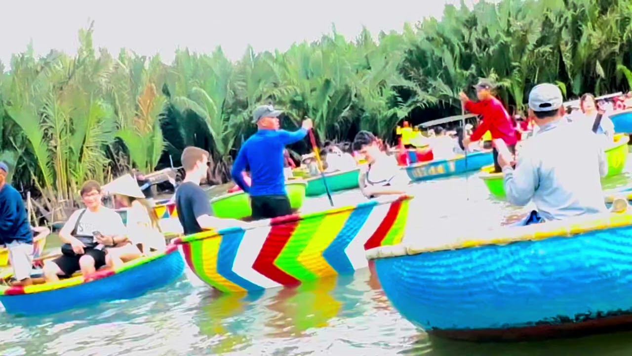 Rừng dừa Quảng Nam, 7/2025