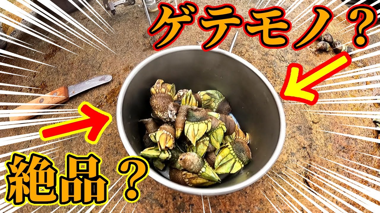 どこにでも生えてるアレ食べてみた