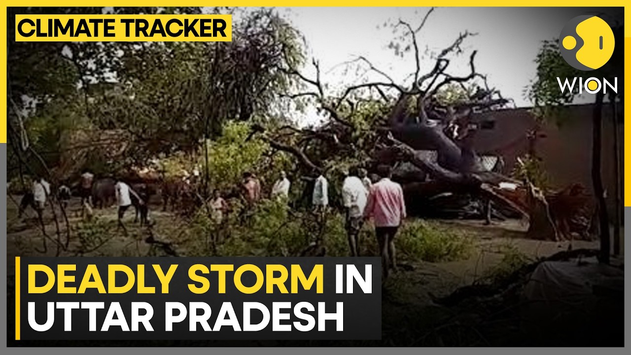 UP Storm Chaos: Man Hurt After Being Lifted by Powerful Winds  | WION Climate Tracker