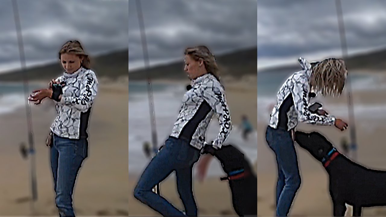 Dog Startles a Beachgoer