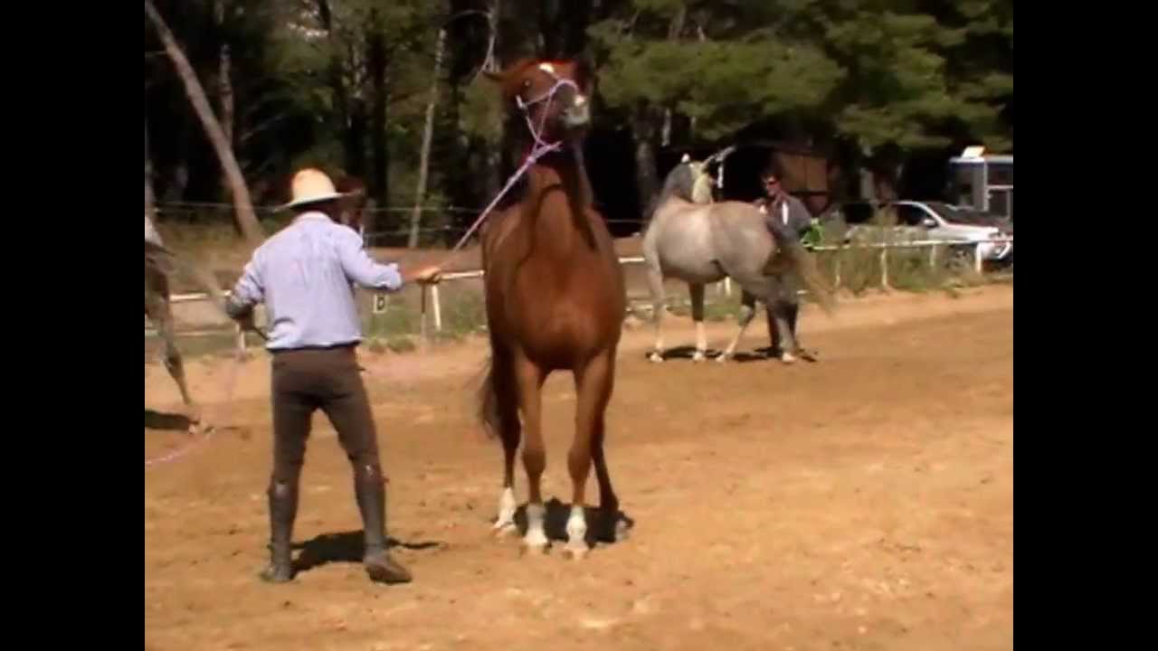 A training with Andy Booth part 1