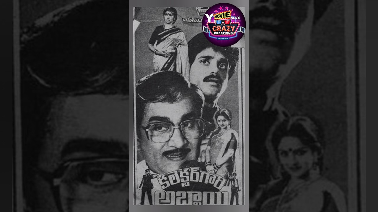 కలెక్టర్ గారి అబ్బాయి కింగ్ నాగార్జున | South Indian movies | telugu old dubbed movies | Y MOVIE MAX