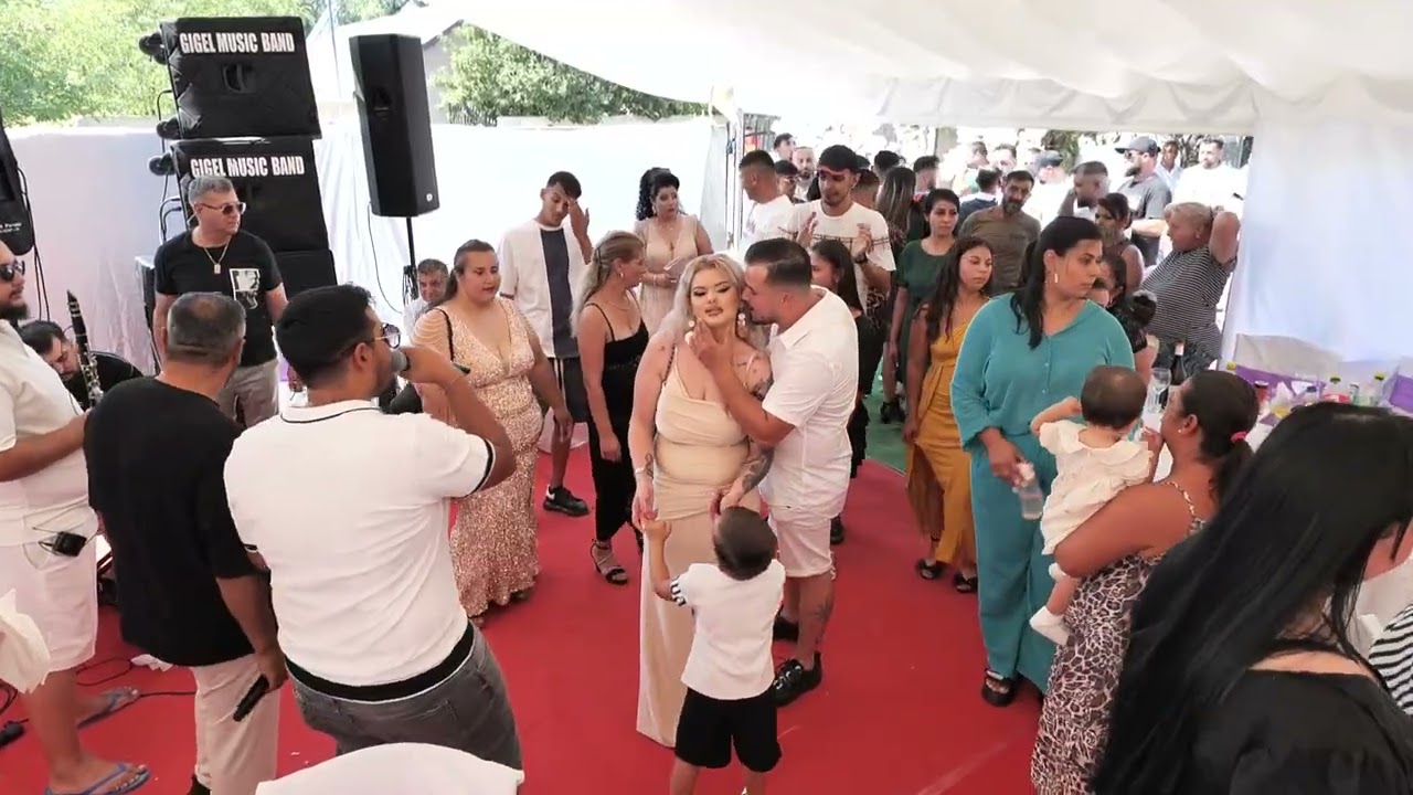 BOGDAN ARTISTU  = SALMANCAN CE DE ANI AM ASTEPTAT