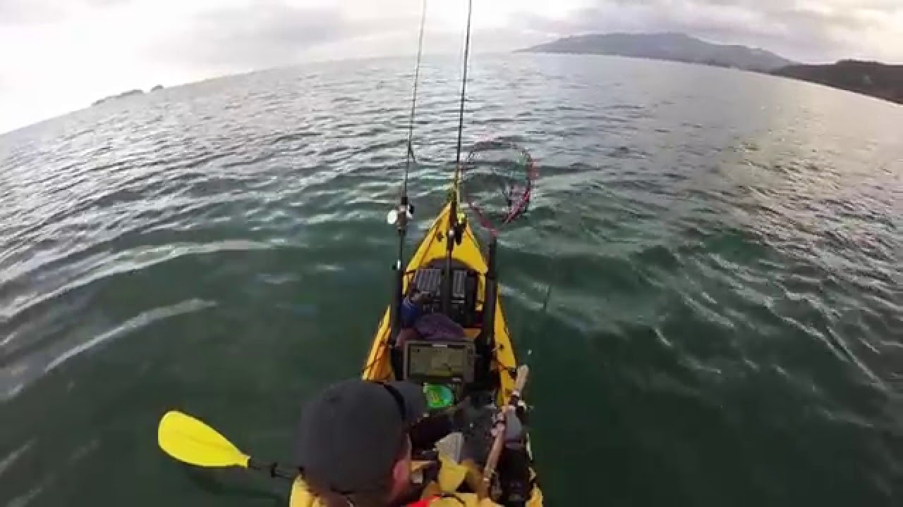 Sharkerz Summer Snapper fishing montage - Late Dec 2015 to Jan 2016