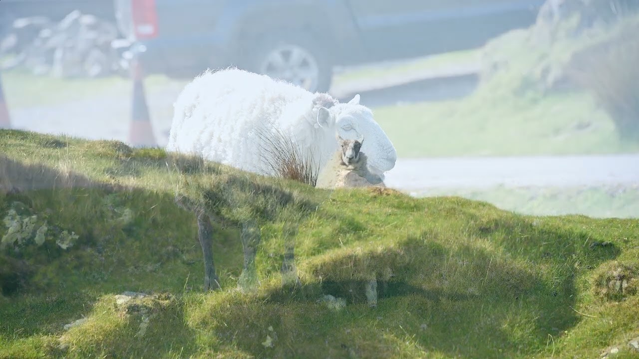 NC 500 Western Scotland from Scourie to Ullapool via Stoer Photo Video