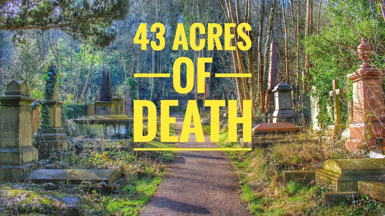 Arnos Vale Cemetery 