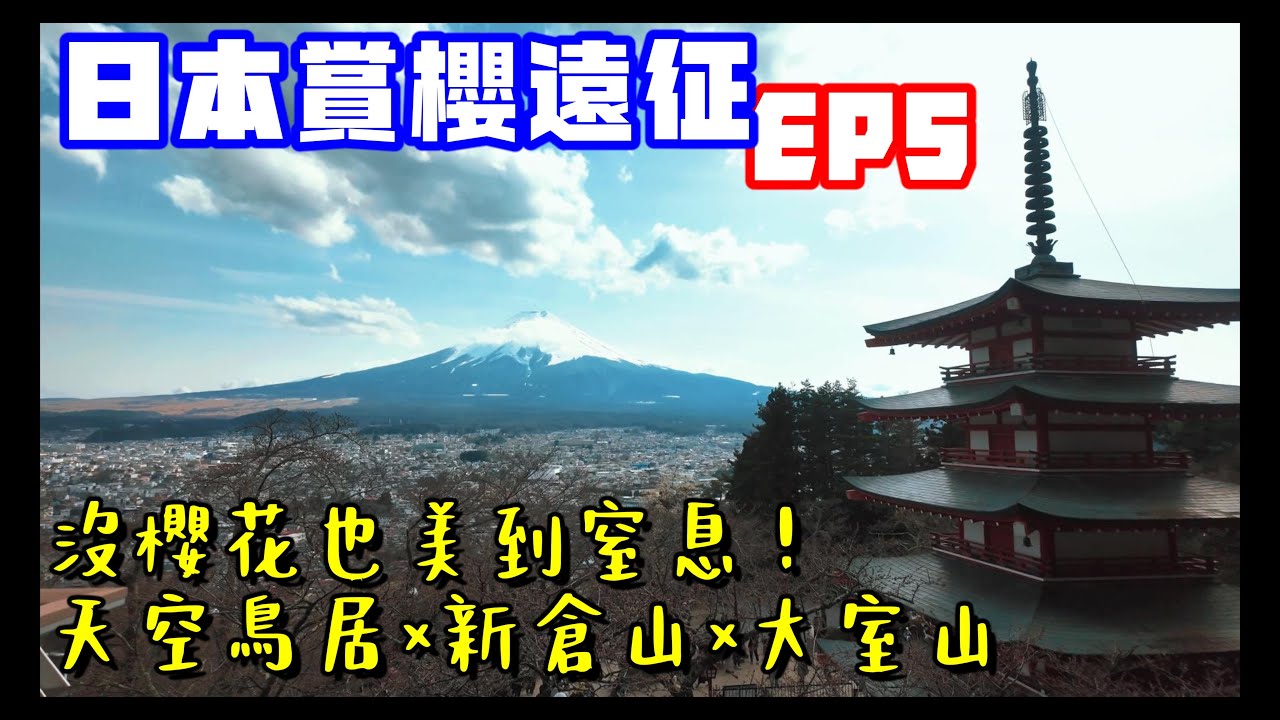 日本賞櫻遠征 EP.5｜沒櫻花也美到窒息！天空鳥居×新倉山×大室山，春末高地巡禮