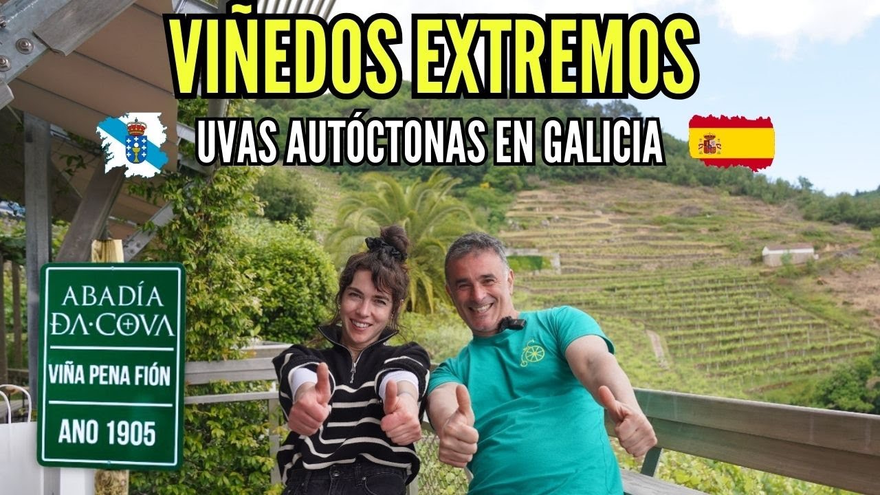 [VITICULTURA HEROICA en ESPAÑA II] 🍇 La BODEGA ABADÍA DA COVA en RIBIERA SACRA y probamos sus VINOS