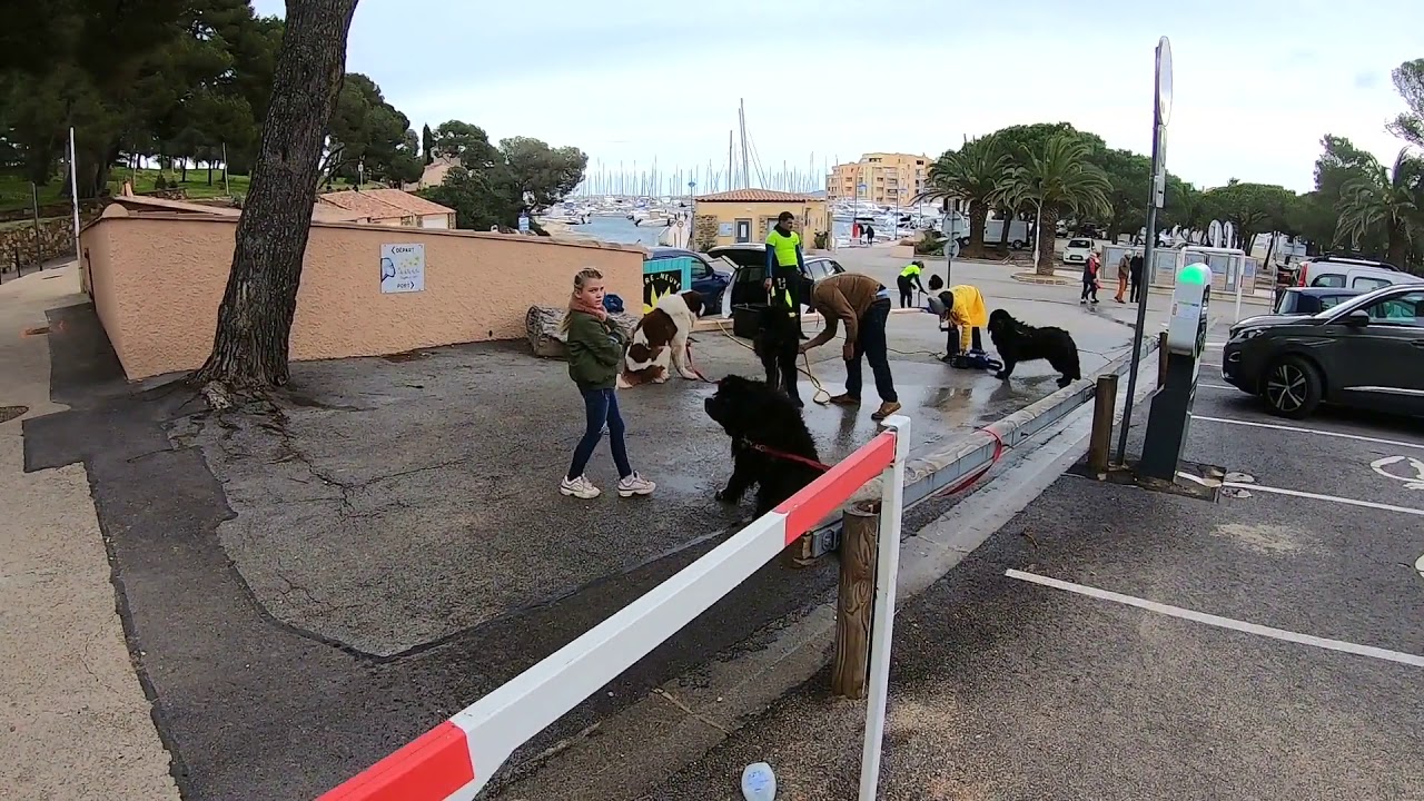 Petite promenade hivernale au Lavandou