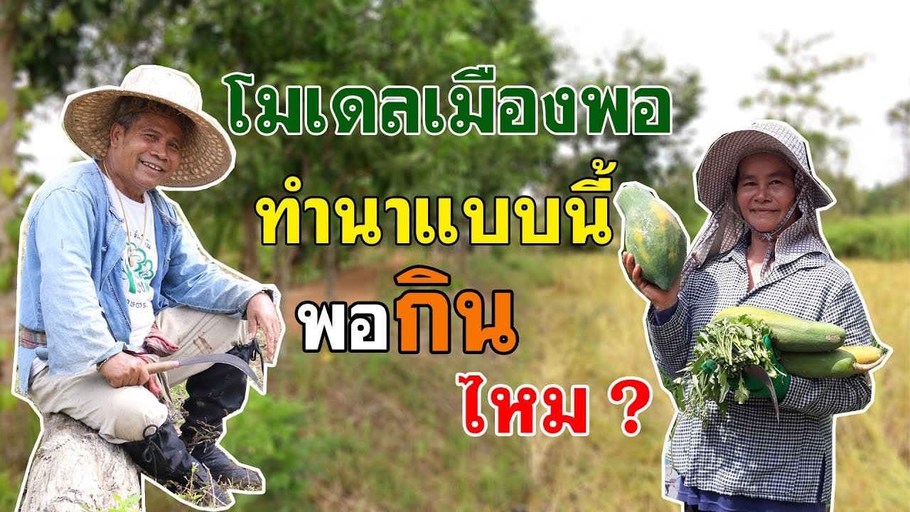 ทำนาแค่นี้ พอกินไหม ? | คนรักษ์ป่า ep 30