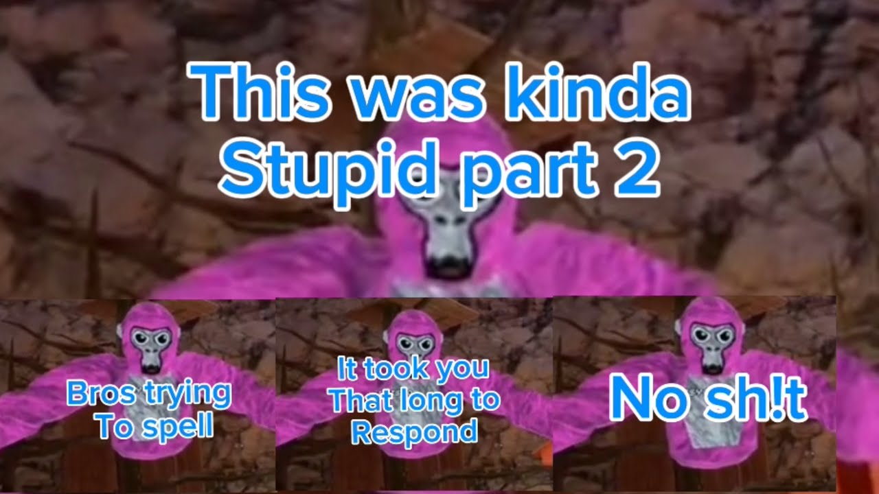This was kinda stupid part 2 #gorillatag
