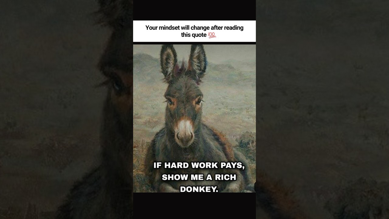 Donkeys Work Hard Too #wealthmindset #motivation #mindset