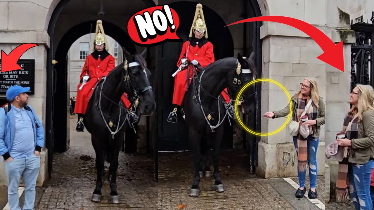 Brilliant King’s Guard Doesn’t Allow this Lady to Touch the Horse! Tells off man OUT OF THE BOX!
