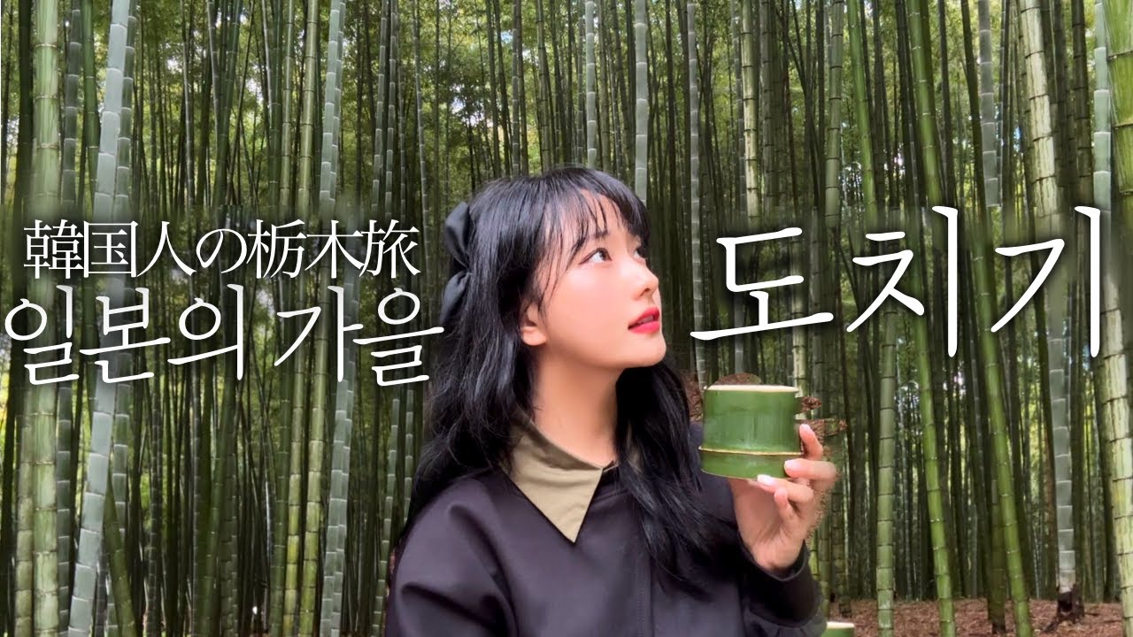 가을 일본 여행vlog🍁뻔하지 않은 도쿄 근교 여행지를 찾는다면! 2박3일 도치기 여행 이거만 보면 색다른 일본 여행 가능