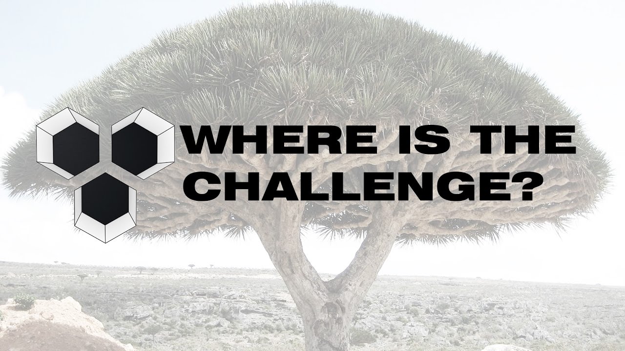 Programming Architecture - Where is the challenge?