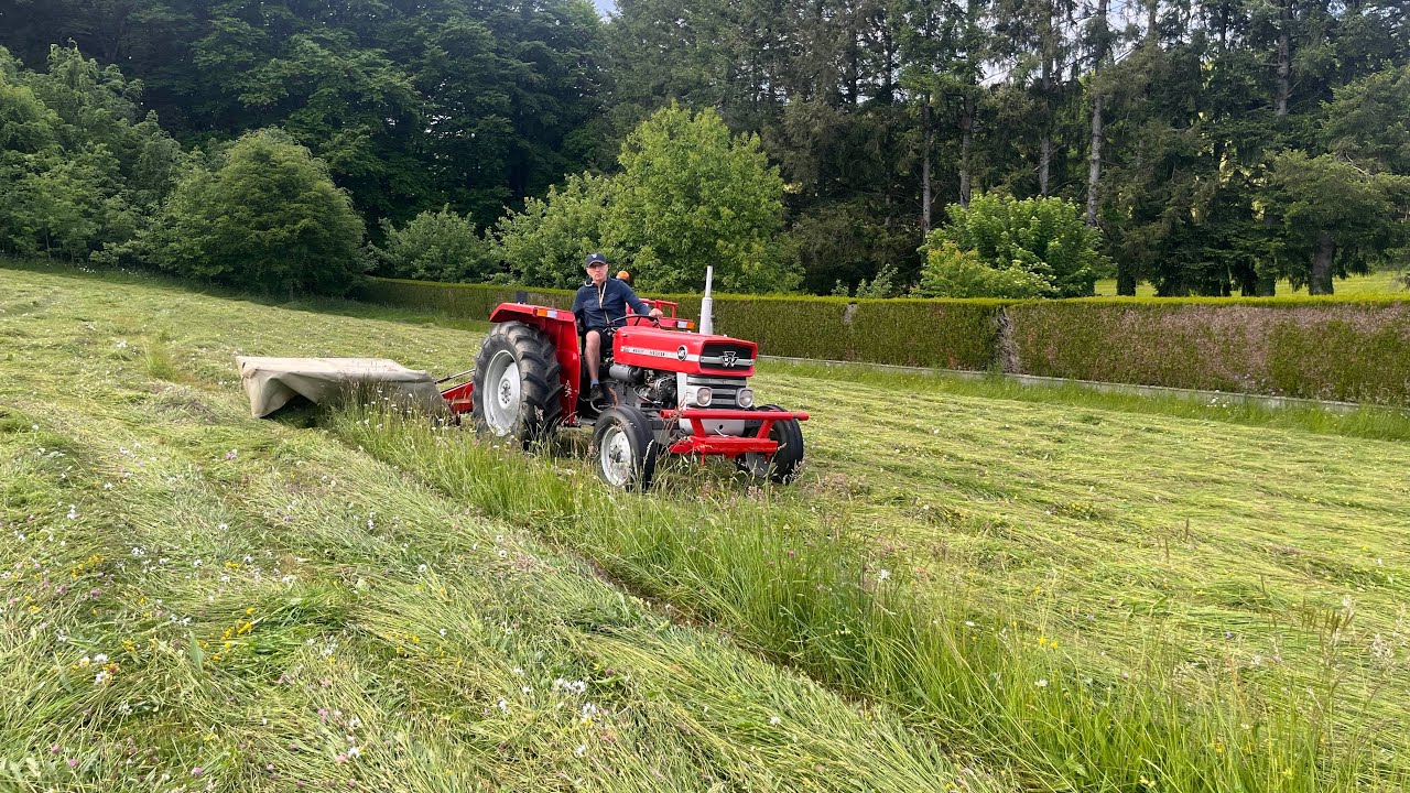 Foins 2025 : L'intégrale ! De la fauche au pressage avec le Massey Ferguson 140 SUPER