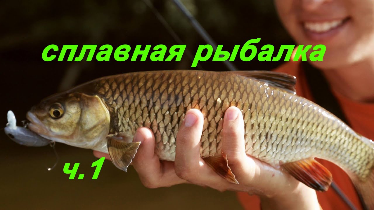 Drift fishing - сплавная рыбалка часть 1. Река Мста.