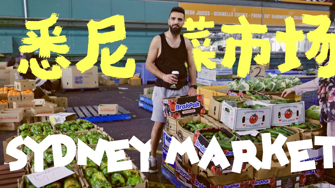 在南半球最大菜市场，看到鲨鱼在售还是被震撼到了