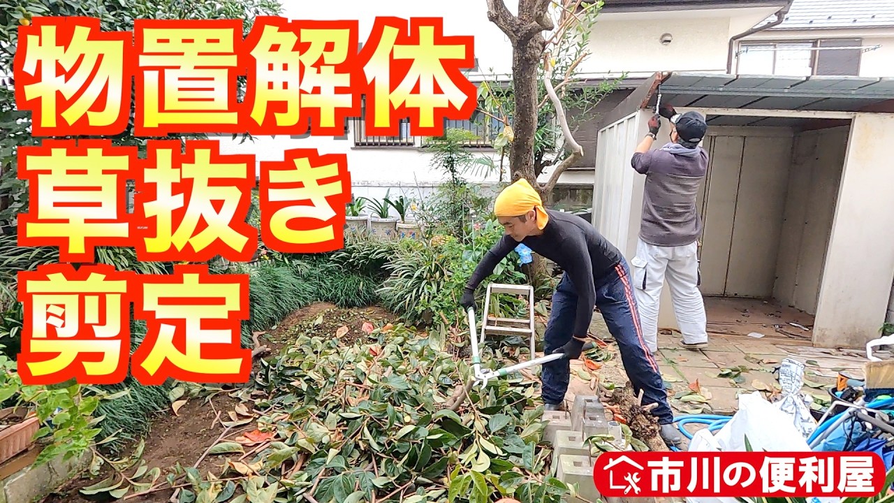 【剪定・草抜き・物置解体・ラティス設置】お庭大改造プロジェクト①｜千葉県市川市の便利屋！各作業料一覧、お問い合わせ先は概要欄をご覧下さい！