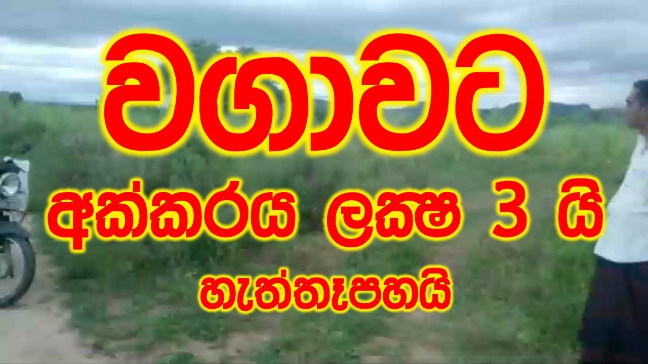 වගාවට අක්කරය ලක්ෂ 3.75 | land for sale in wellawaya | land for sale | Luxury Sri Lanka | maddumaya