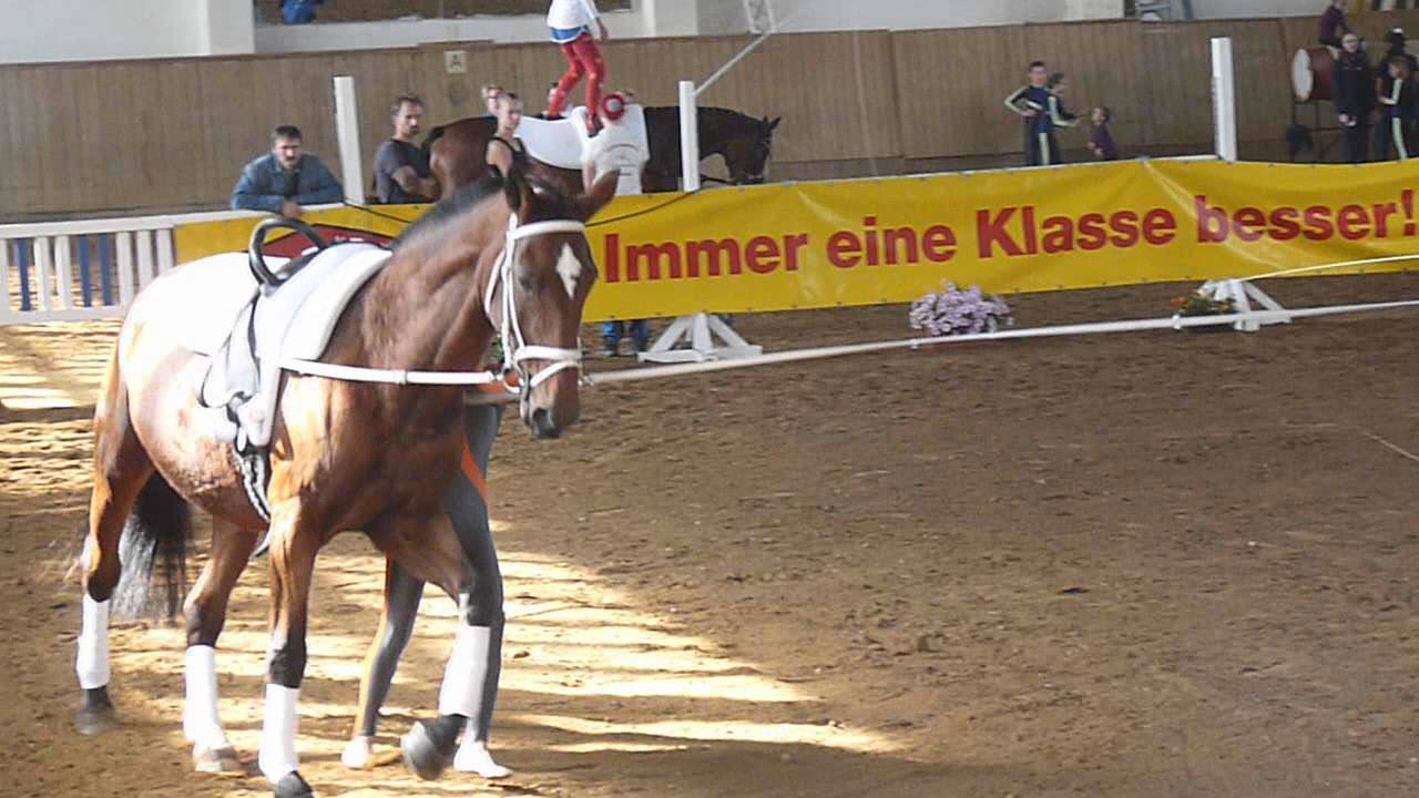 Nachwuchsturnier in Burgstädt  - Pflicht - Voltigieren