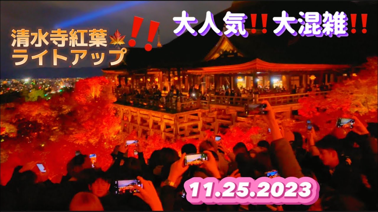 【清水寺紅葉ライトアップ🍁2023】11/25 外国人観光客の大混雑⚠️ 列がすごい、びっくり‼️|Autumn Foliage Light up KIYOMIZU-DERA TEMPLE
