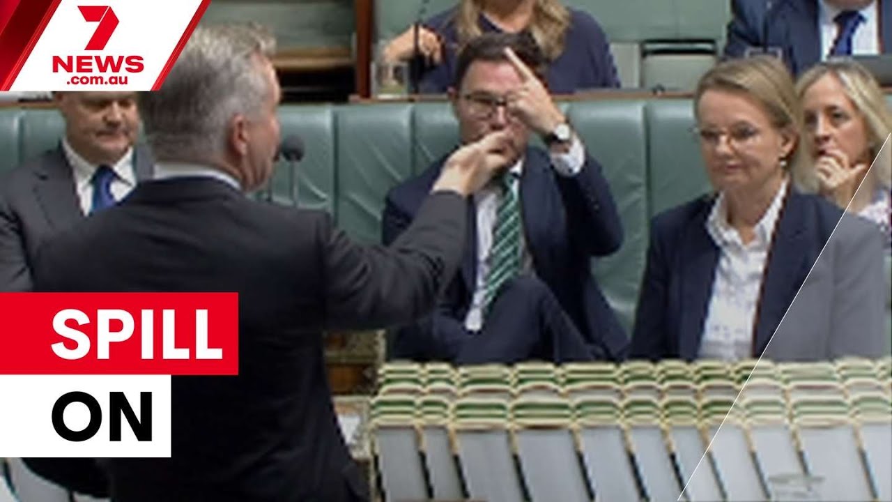 Angus Taylor poised to topple Sussan Ley | 7NEWS