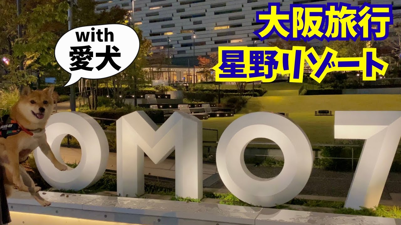 【柴犬と旅行】OMO7大阪 by星野リゾート【大阪→滋賀】