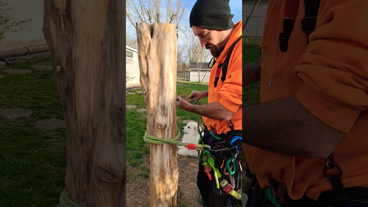 Lanyard Positioning TRIICKS For Tree Climbing #Shorts