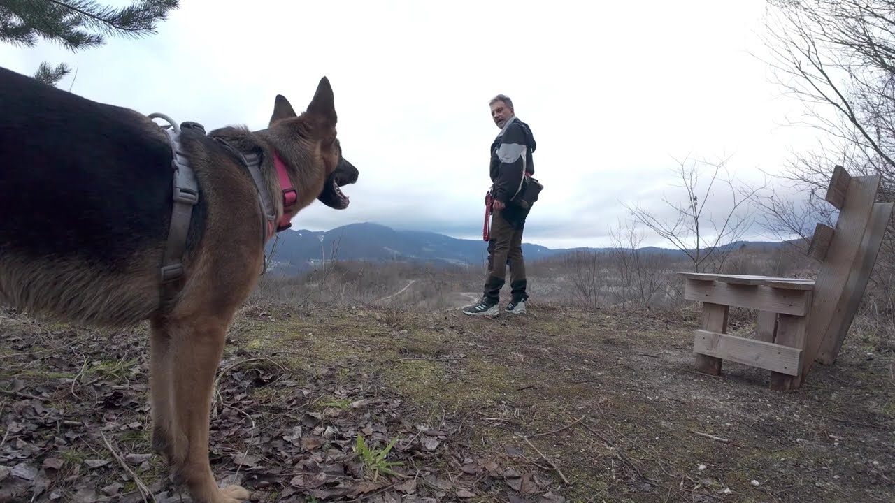 Daily Walks With My Hera, No Matter the Weather