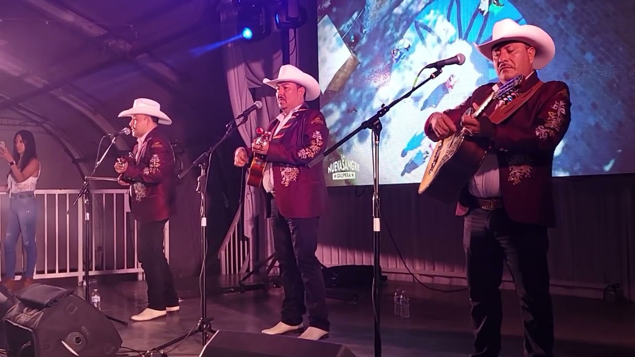 el coqueton con alcon huasteco en anaheim california 07-03-22